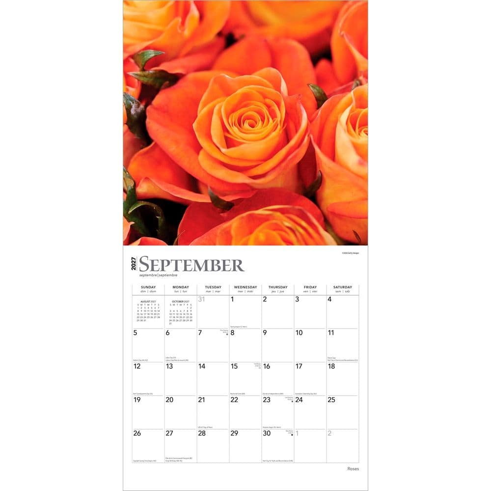 Roses 2027 Wall Calendar - Calendars.com