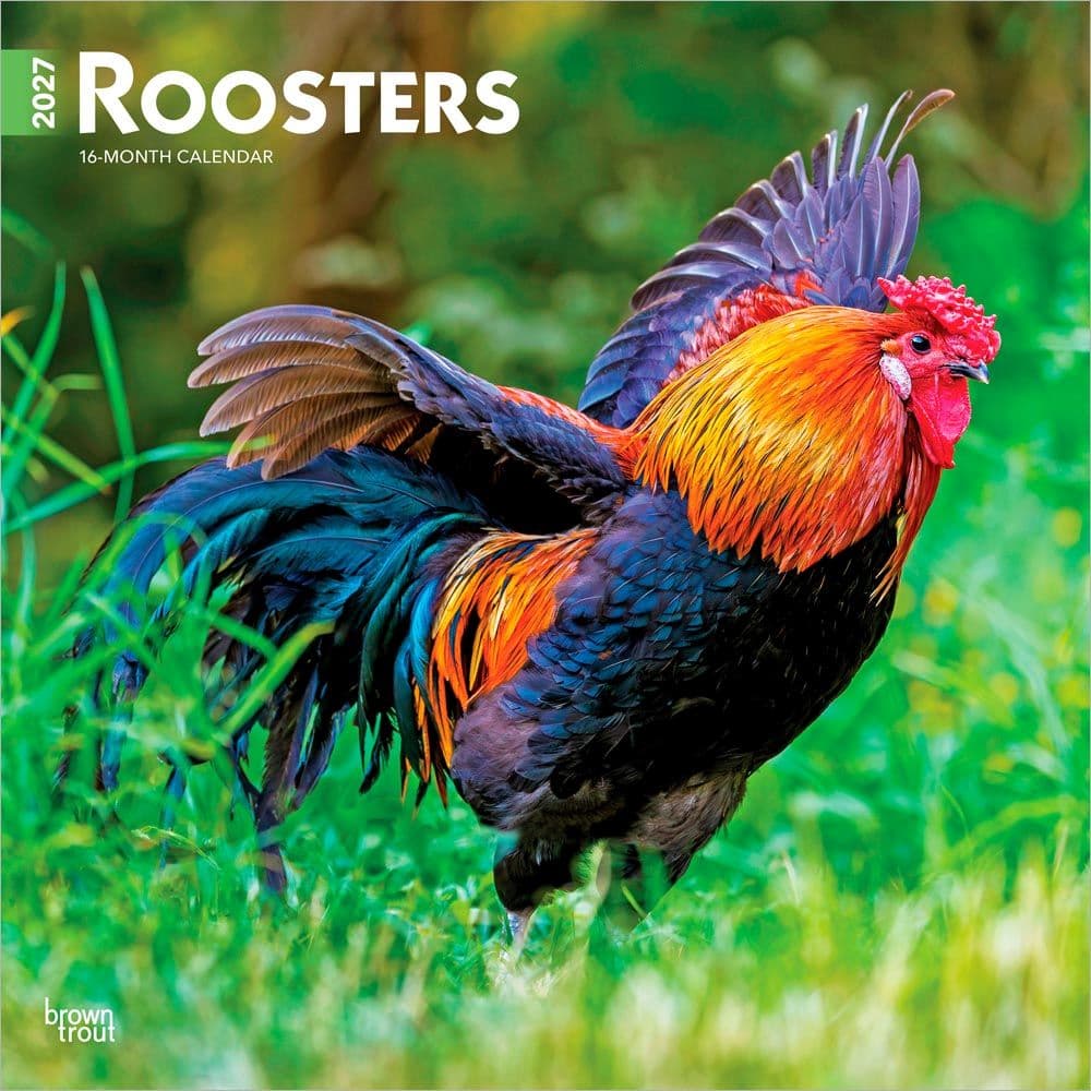Roosters 2027 Wall Calendar Main Product Image