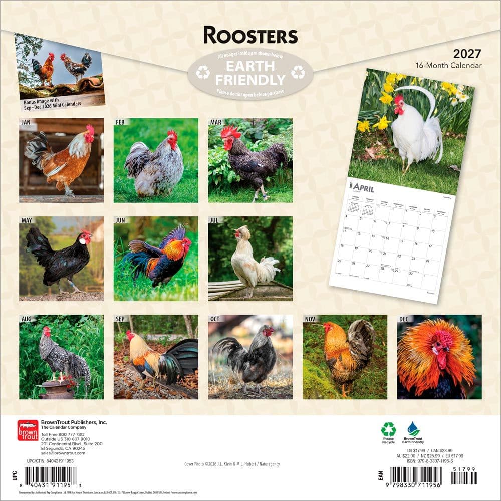 Roosters 2027 Wall Calendar First Alternate Image