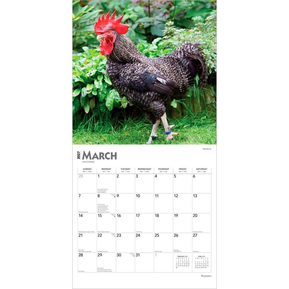 Roosters 2027 Wall Calendar Second Alternate Image