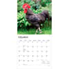 image Roosters 2027 Wall Calendar Second Alternate Image