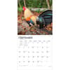 image Roosters 2027 Wall Calendar Third Alternate Image