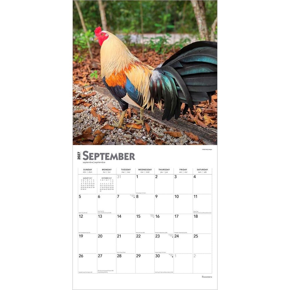 Roosters 2027 Wall Calendar Third Alternate Image