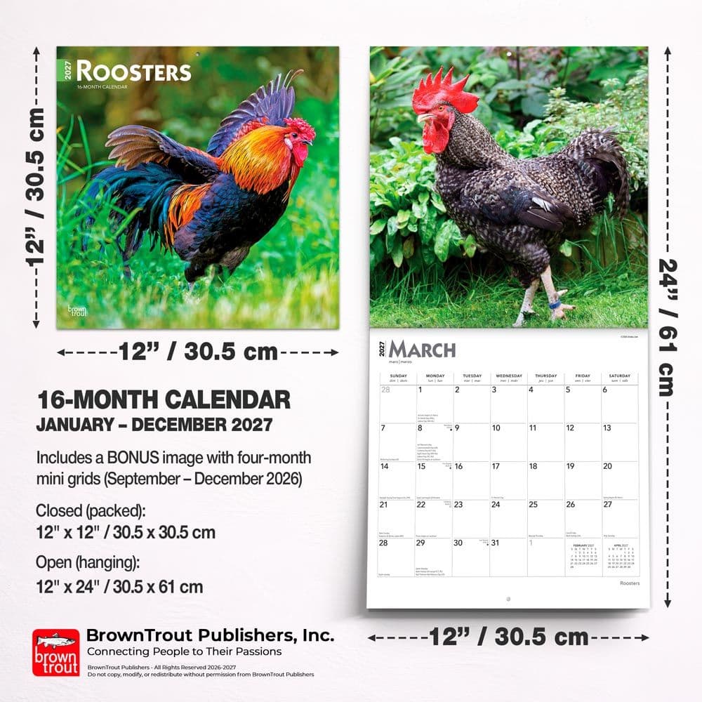 Roosters 2027 Wall Calendar Sixth Alternate Image