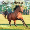 image Horses Quarter 2027 Wall Calendar Main Product Image