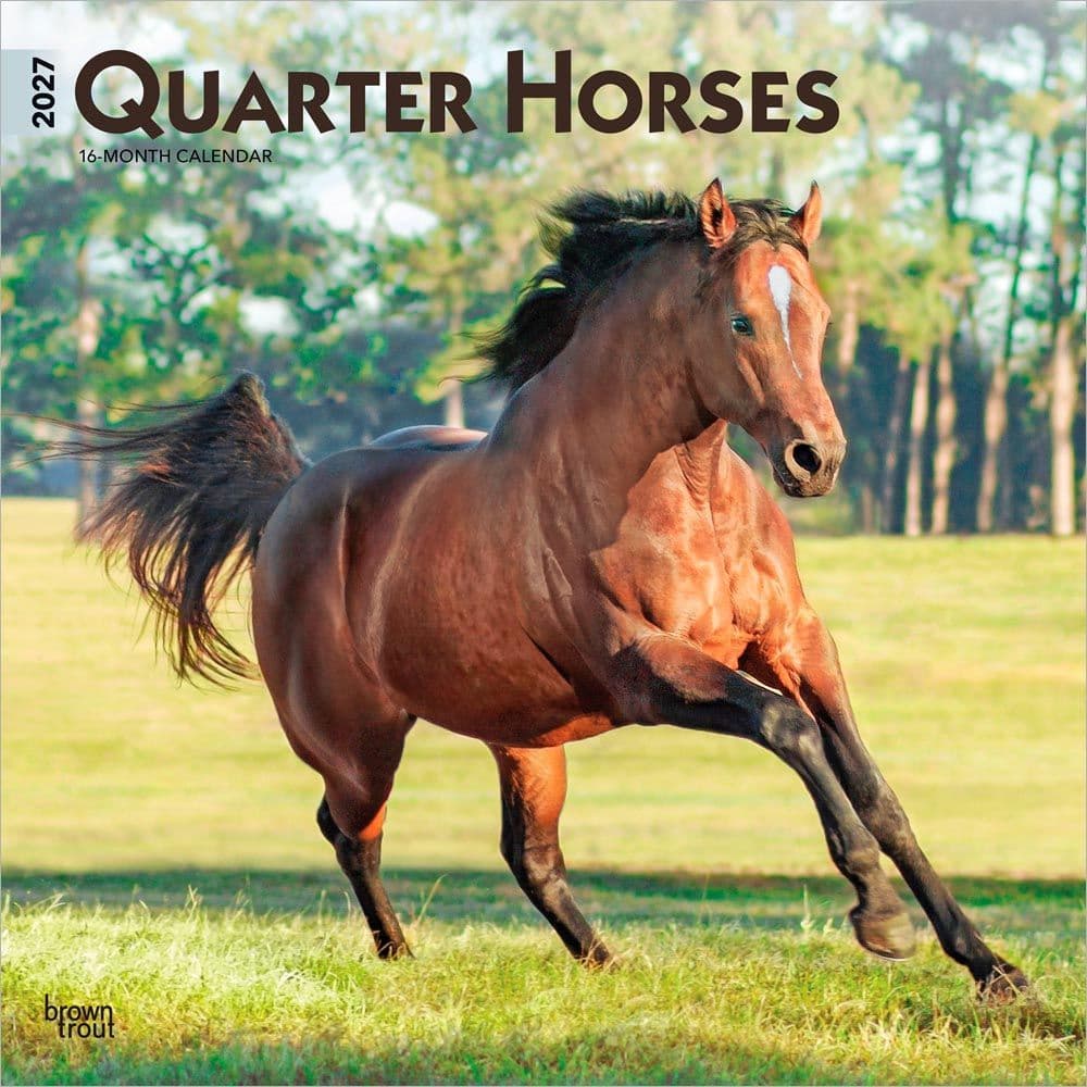 image Horses Quarter 2027 Wall Calendar Main Product Image
