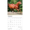 image Horses Quarter 2027 Wall Calendar Second Alternate Image