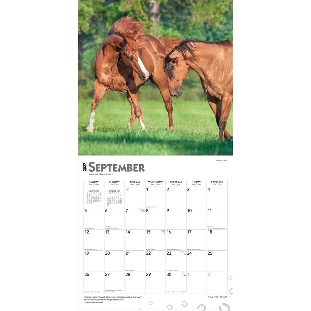 Horses Quarter 2027 Wall Calendar Third Alternate Image
