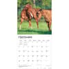 image Horses Quarter 2027 Wall Calendar Third Alternate Image
