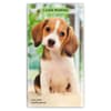 image Puppies I Love 2027 2 Year Pocket Planner Main Product Image