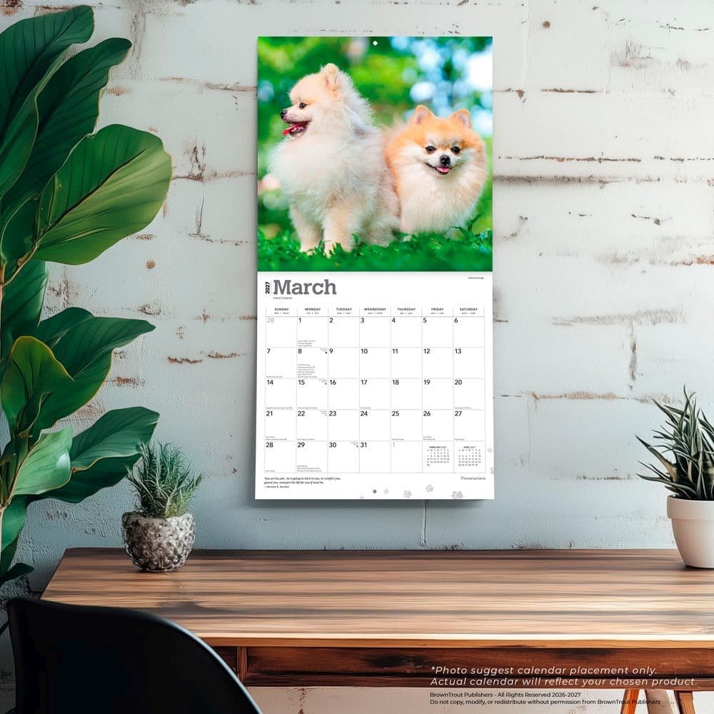 Pomeranians 2027 Wall Calendar Fourth Alternate Image