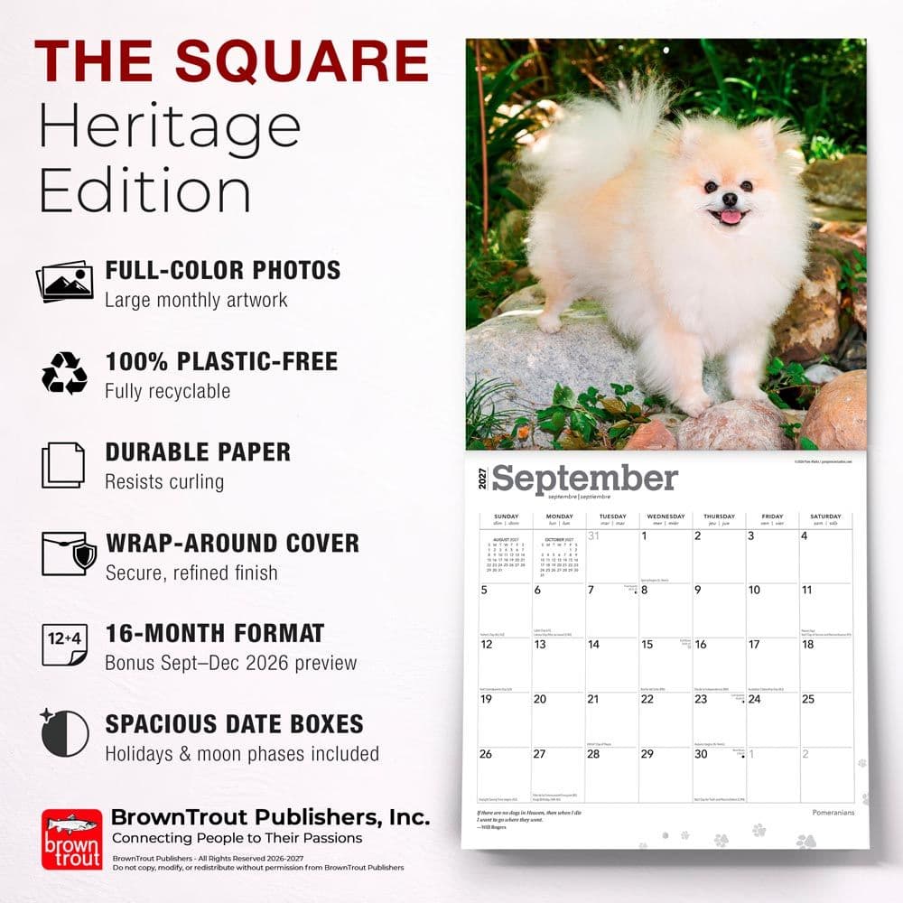 Pomeranians 2027 Wall Calendar Fifth Alternate Image
