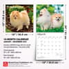 image Pomeranians 2027 Wall Calendar Sixth Alternate Image
