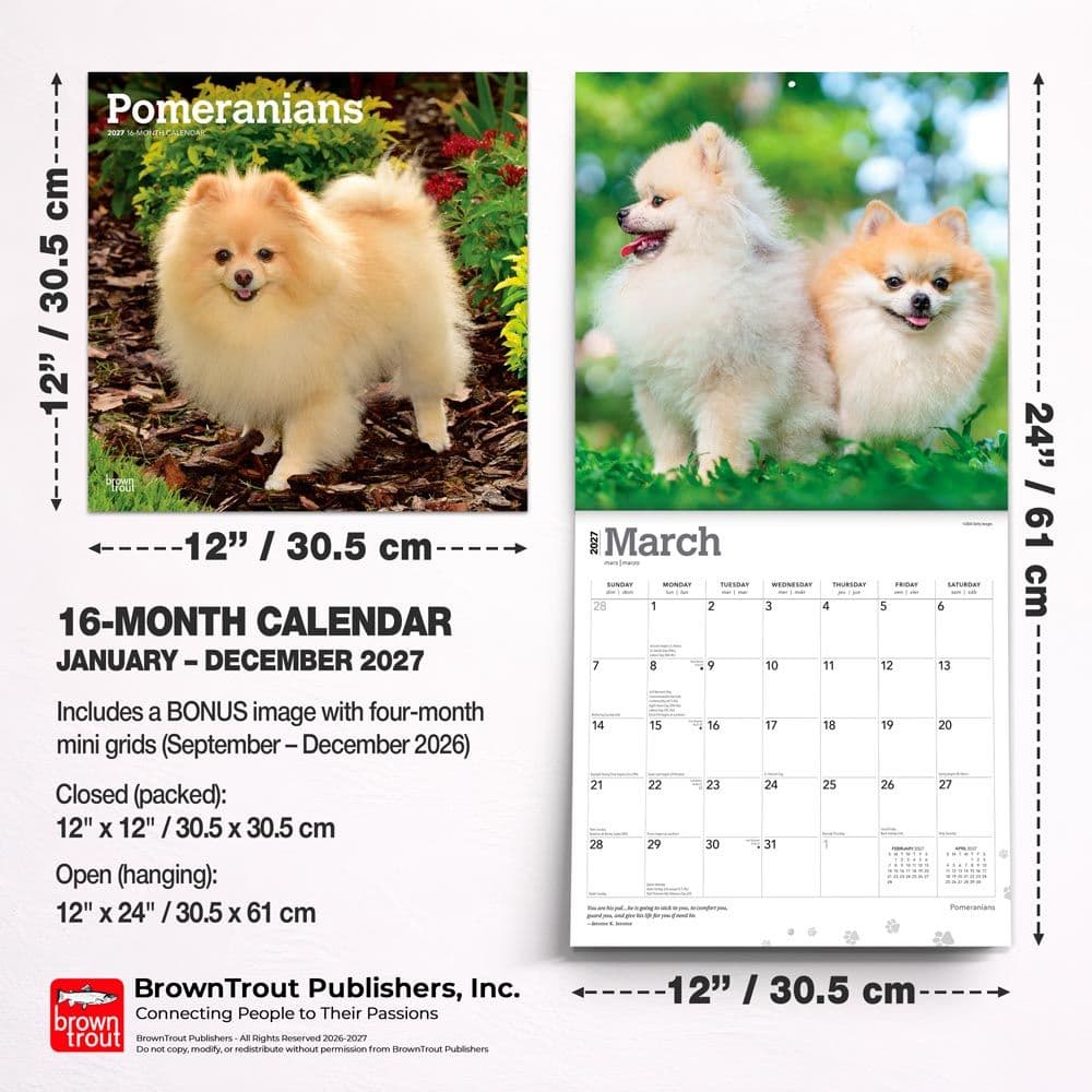 Pomeranians 2027 Wall Calendar Sixth Alternate Image