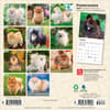 image Pomeranian 2027 Mini Wall Calendar First Alternate Image