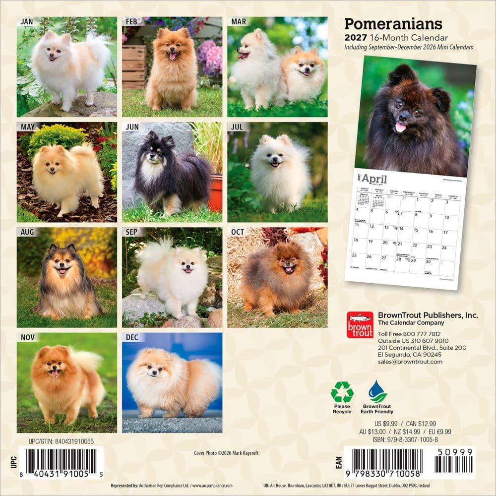Pomeranian 2027 Mini Wall Calendar First Alternate Image