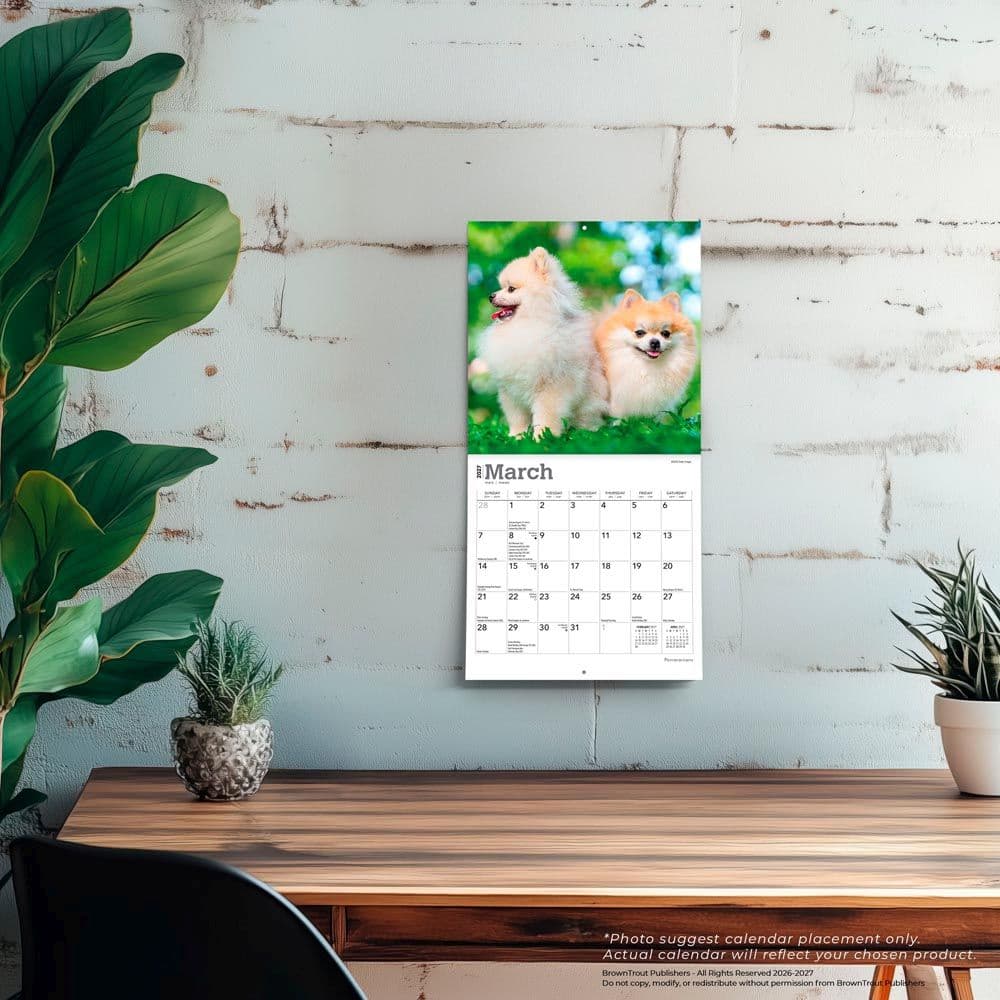 Pomeranian 2027 Mini Wall Calendar Fourth Alternate Image