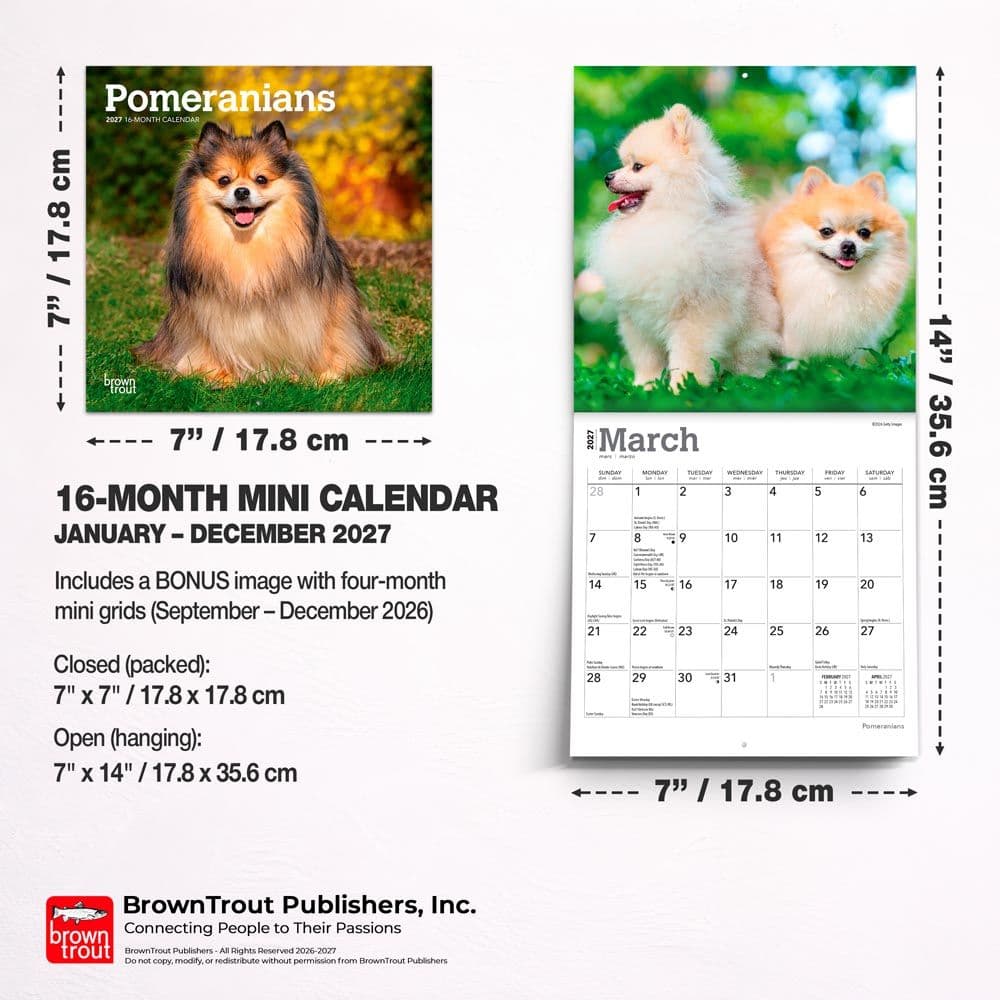 Pomeranian 2027 Mini Wall Calendar Sixth Alternate Image