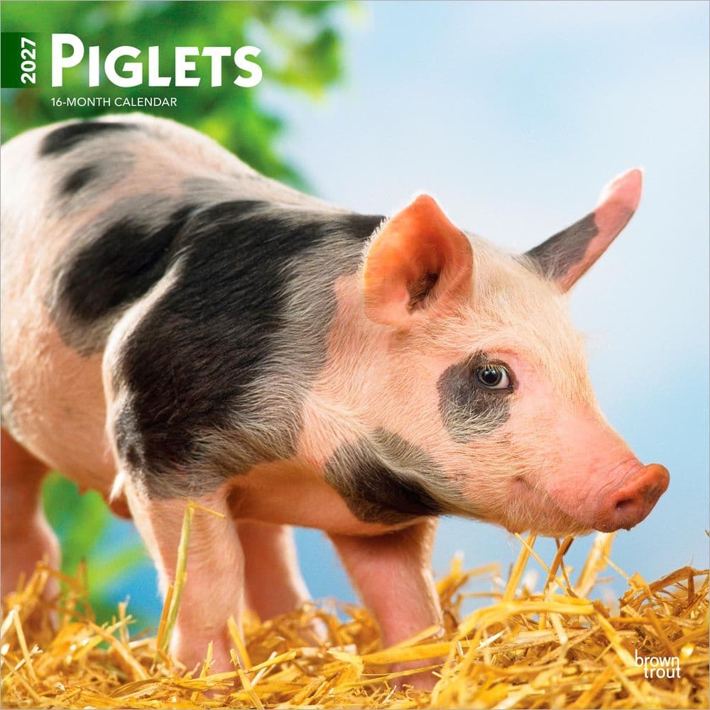 Piglets 2027 Wall Calendar Main Product Image