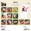 image Piglets 2027 Wall Calendar First Alternate Image