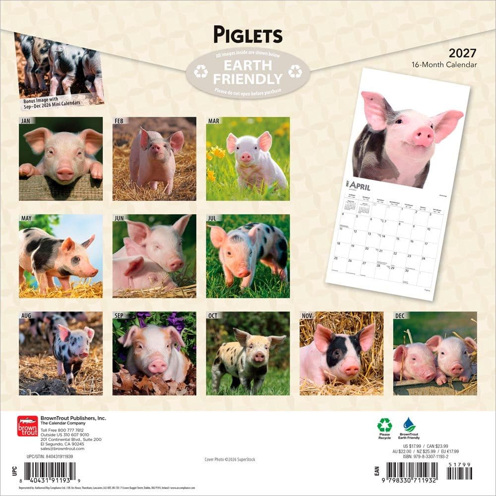 Piglets 2027 Wall Calendar First Alternate Image