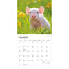 image Piglets 2027 Wall Calendar Second Alternate Image
