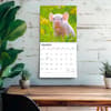 image Piglets 2027 Wall Calendar Fourth Alternate Image