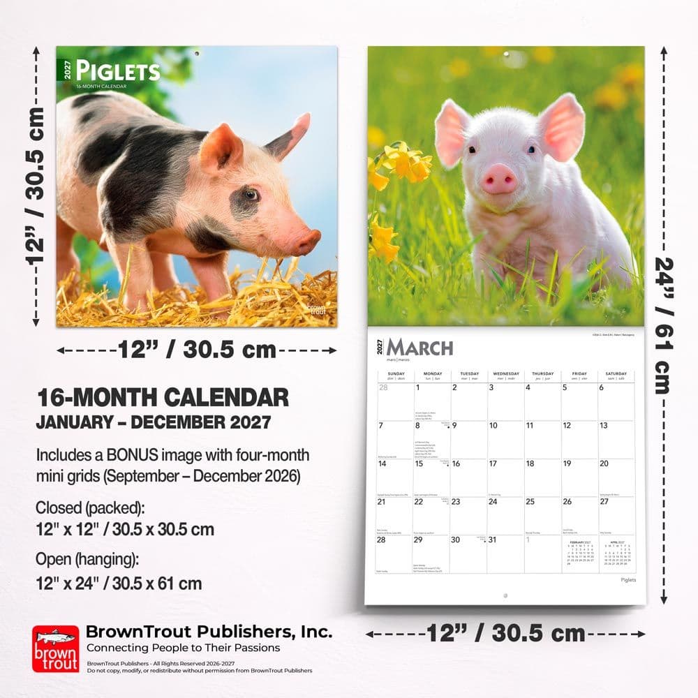Piglets 2027 Wall Calendar Sixth Alternate Image