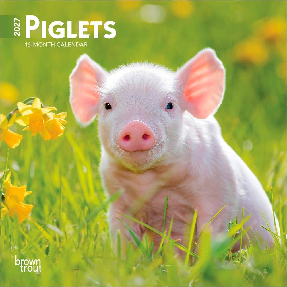 Piglets 2027 Mini Wall Calendar Main Product Image