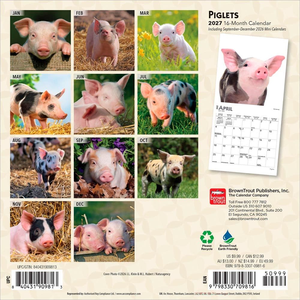 Piglets 2027 Mini Wall Calendar First Alternate Image