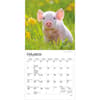 image Piglets 2027 Mini Wall Calendar Second Alternate Image