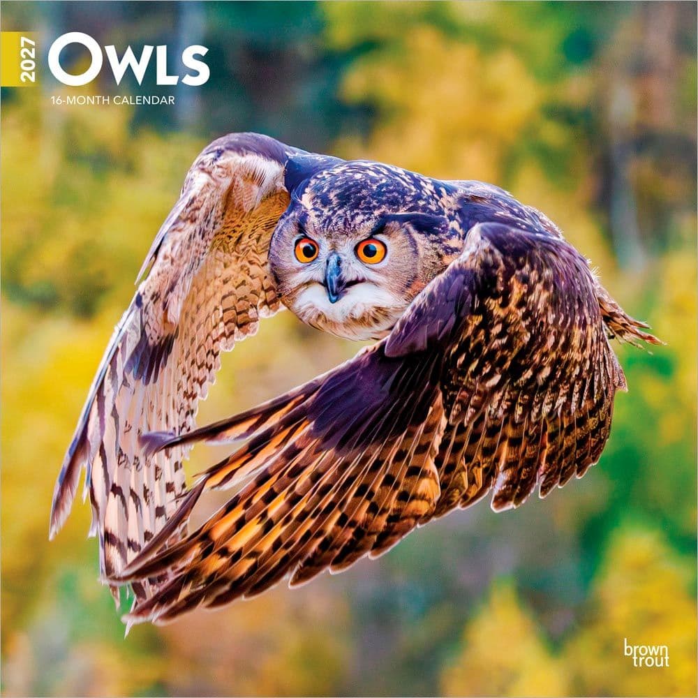 image Owls 2027 Wall Calendar Main Product Image