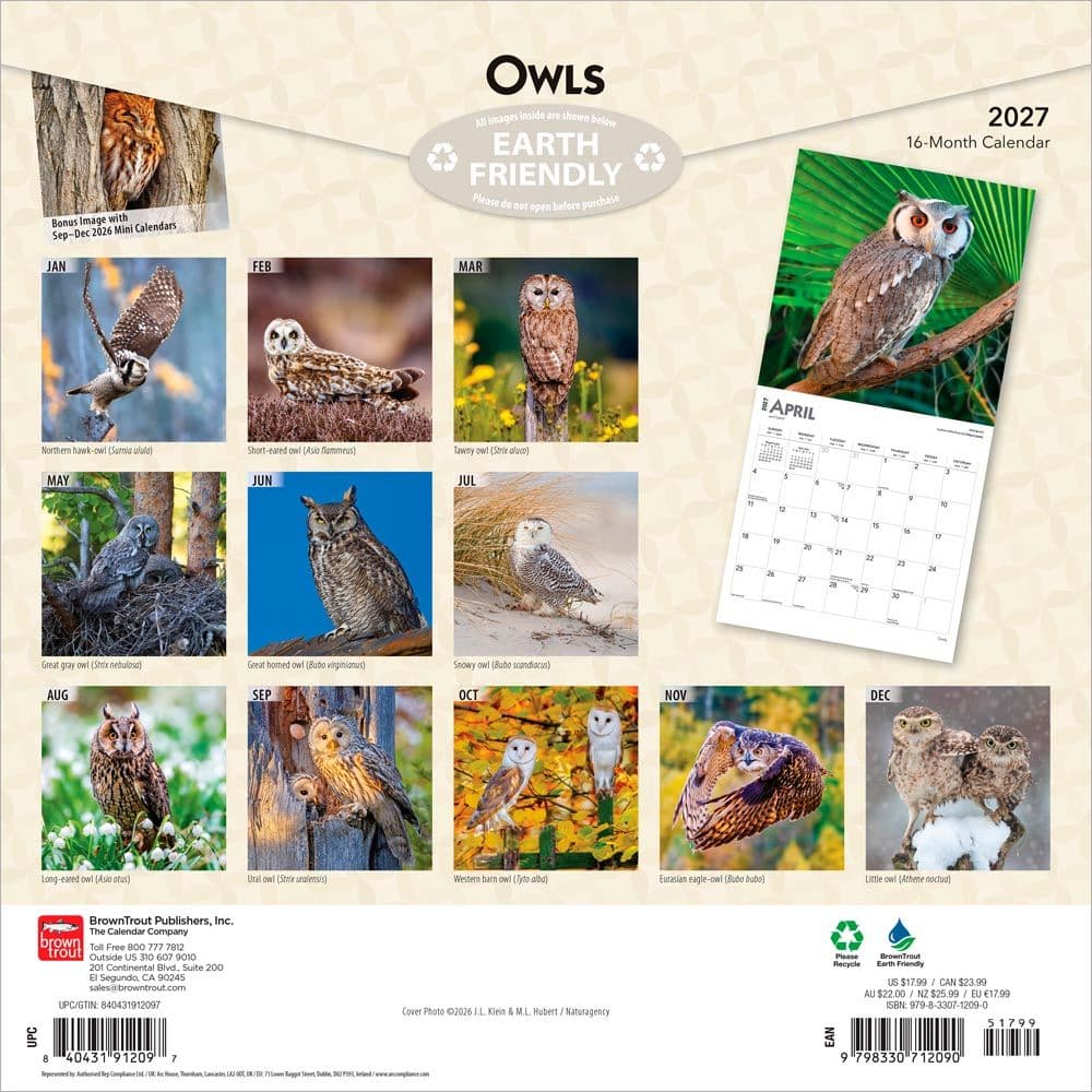 Owls 2027 Wall Calendar First Alternate Image