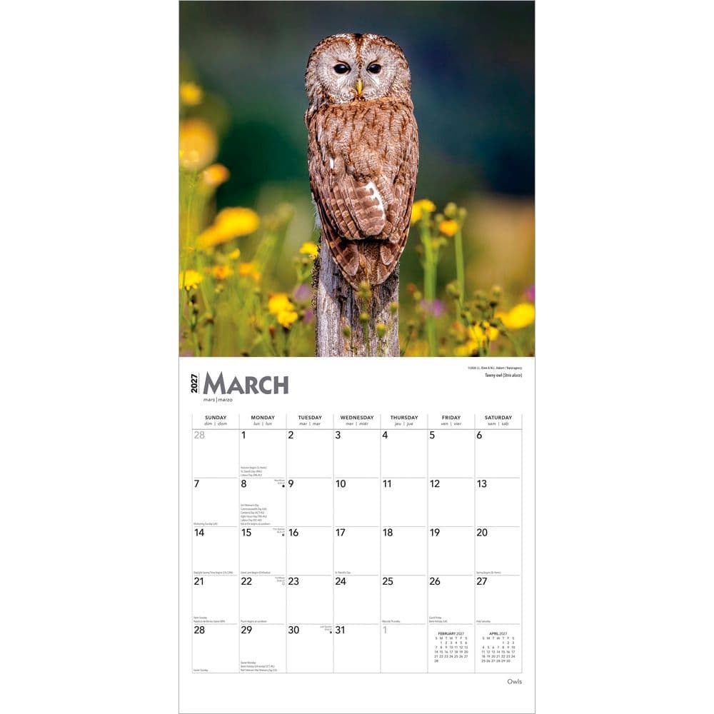Owls 2027 Wall Calendar Second Alternate Image