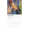 image Owls 2027 Wall Calendar Third Alternate Image