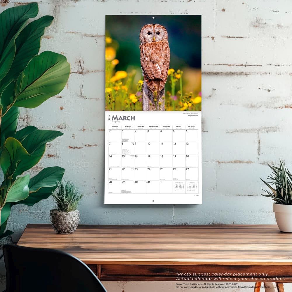 Owls 2027 Wall Calendar Fourth Alternate Image
