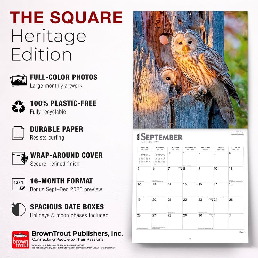 Owls 2027 Wall Calendar Fifth Alternate Image