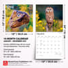 image Owls 2027 Wall Calendar Sixth Alternate Image