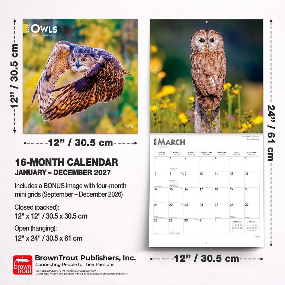 Owls 2027 Wall Calendar Sixth Alternate Image