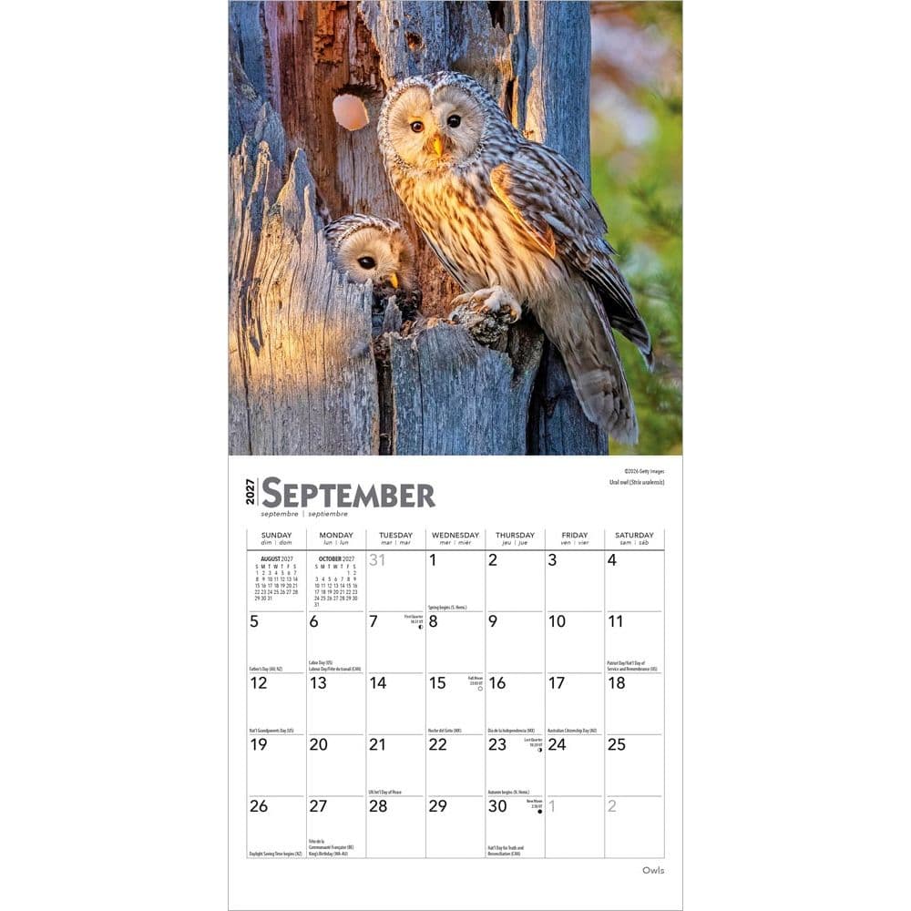 Owls 2027 Mini Wall Calendar Third Alternate Image