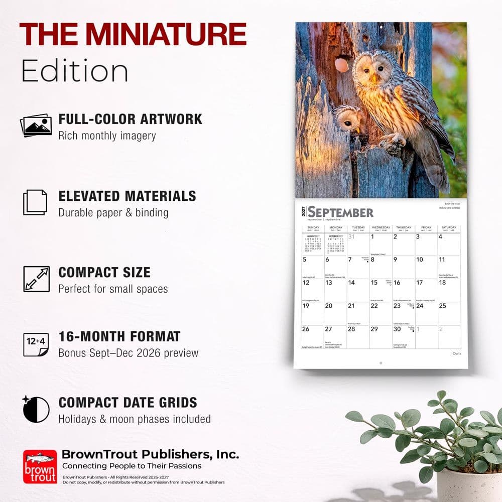 Owls 2027 Mini Wall Calendar Fifth Alternate Image