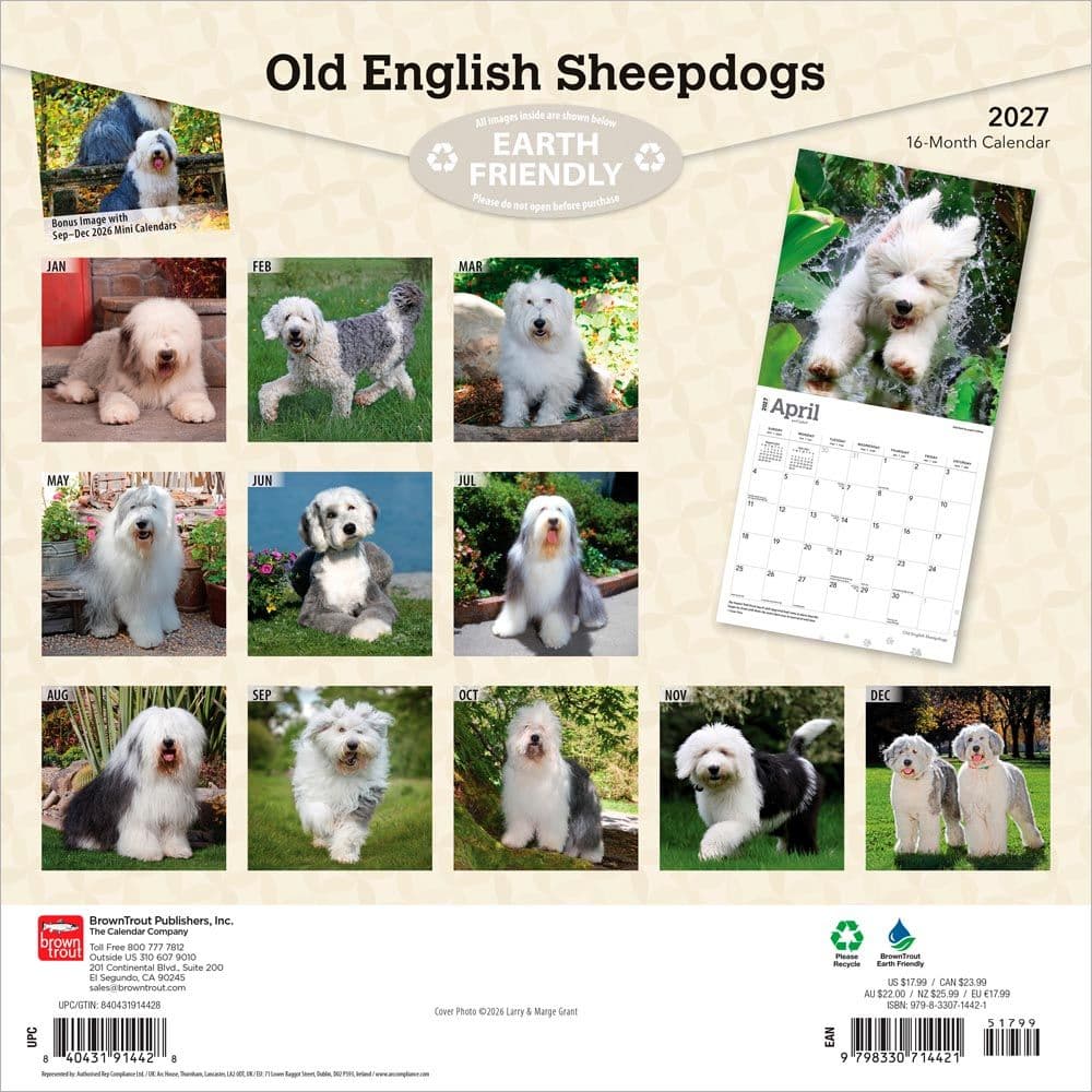 Old English Sheepdogs 2027 Wall Calendar First Alternate Image