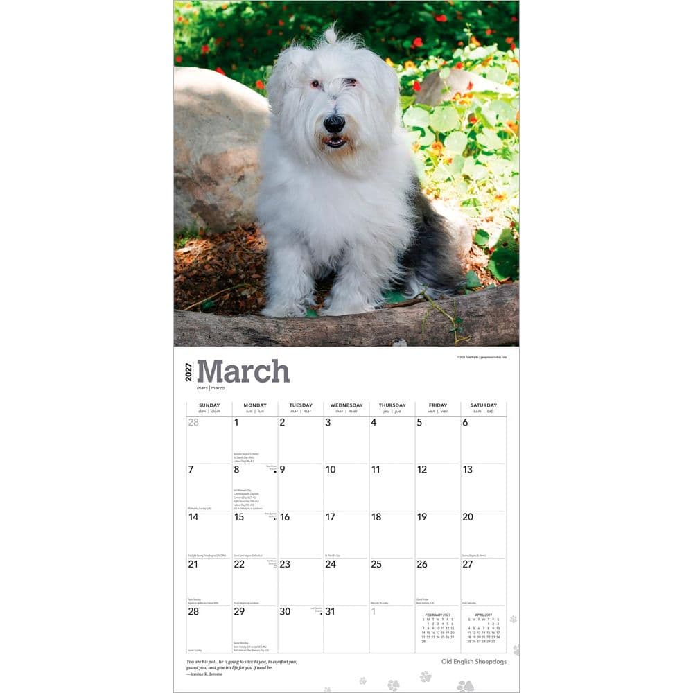 Old English Sheepdogs 2027 Wall Calendar Second Alternate Image
