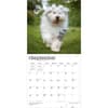 image Old English Sheepdogs 2027 Wall Calendar Third Alternate Image