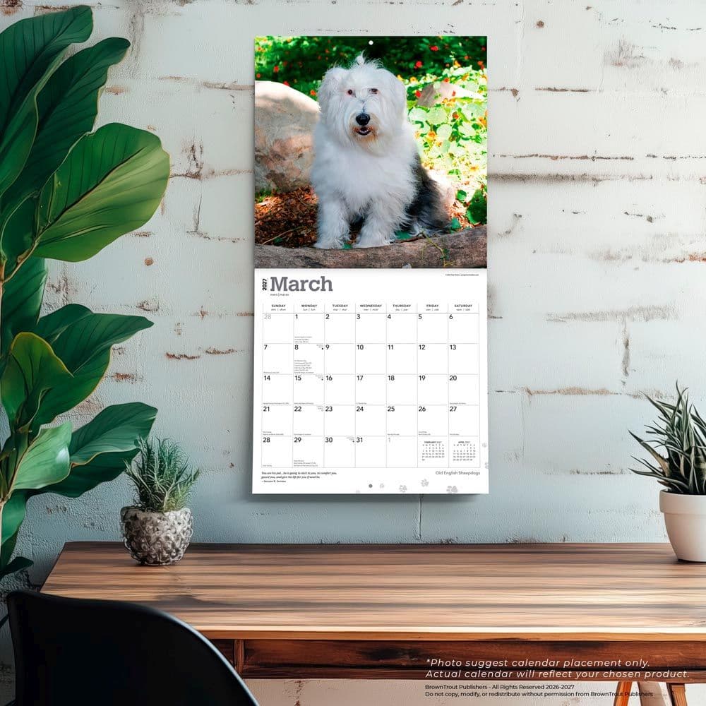 Old English Sheepdogs 2027 Wall Calendar Fourth Alternate Image