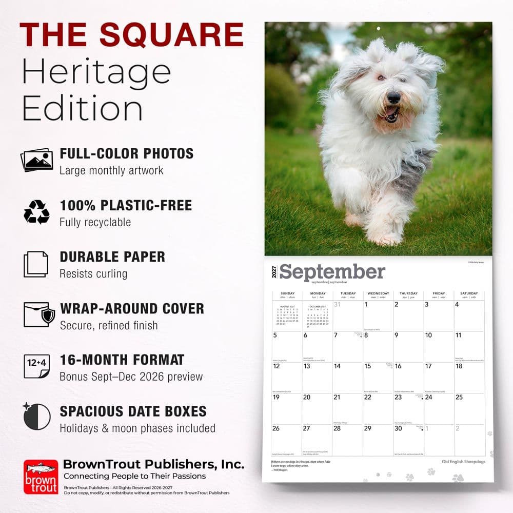 Old English Sheepdogs 2027 Wall Calendar Fifth Alternate Image