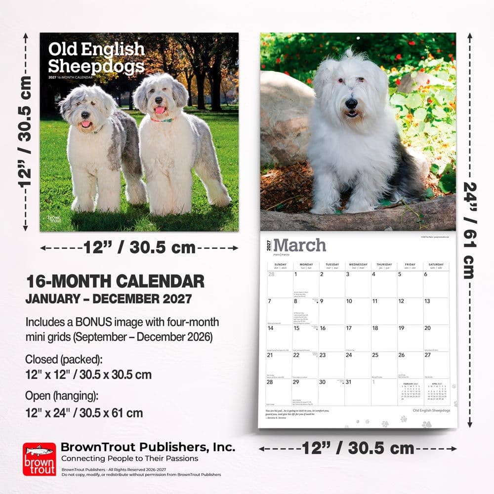 Old English Sheepdogs 2027 Wall Calendar Sixth Alternate Image