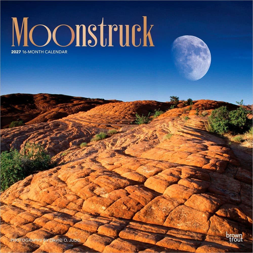 Moons 2027 Wall Calendar Main Product Image