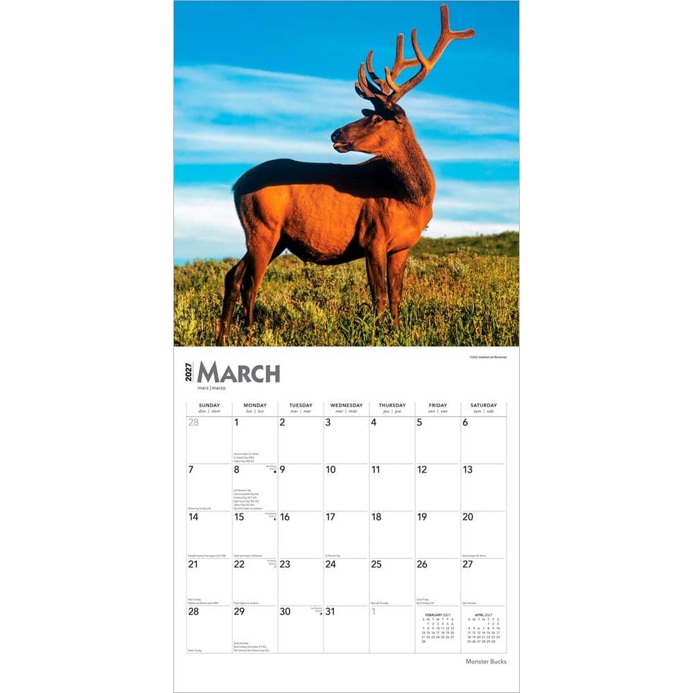 Monster Bucks 2027 Wall Calendar Second Alternate Image