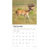 image Monster Bucks 2027 Wall Calendar Third Alternate Image